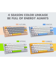 ARMAGGEDDON TECLADO MECANICO GAMER TRI-MODE 60% (GMK-100)