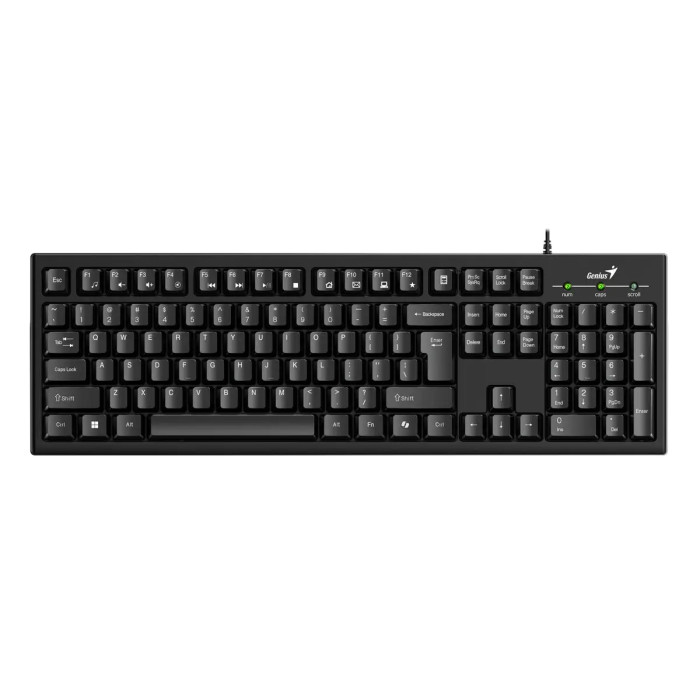 GENIUS TECLADO CON CABLE USB (KB-100)