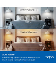 TP-LINK FOCO TAPO LED INTELIGENTE WIFI RGB MULTICOLOR (L535E)