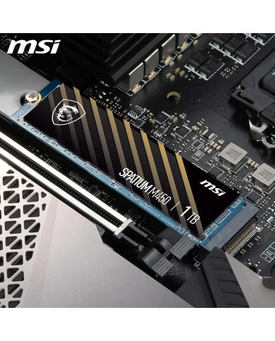 MSI DISCO SOLIDO SPATIUM 500GB M.2 NVMe PCIe Gen4 (M450)